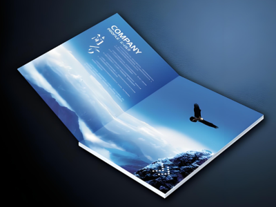 包裝印刷企業官網建設方案：從展示窗口到數字化獲客引擎